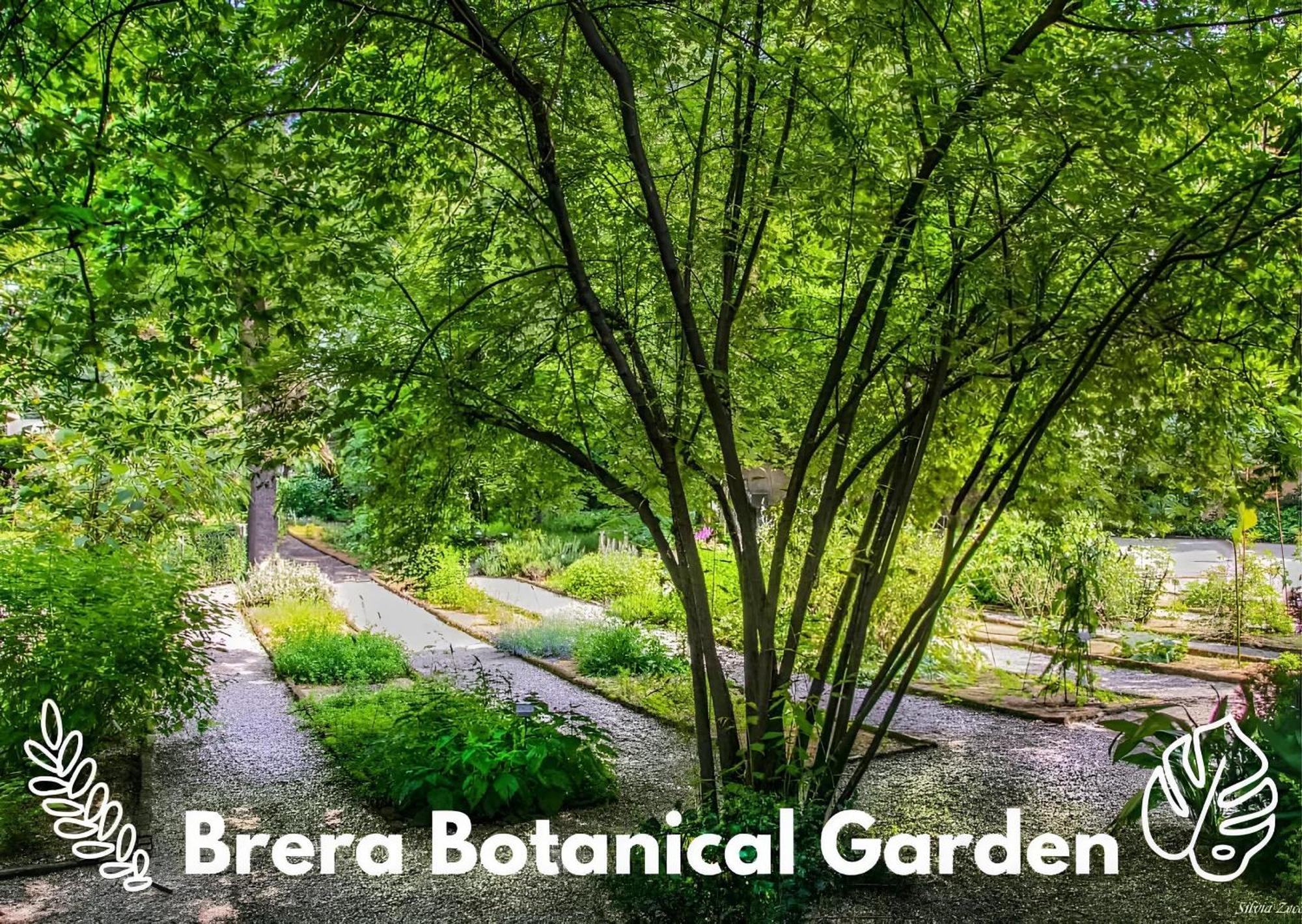 Brera Vip Spotlight - Brera - Duomo - Castello Sforzesco - Lanza Metro M2 Lägenhet Milano Exteriör bild